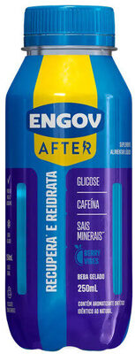 Suplemento Alimentar Líquido Berry Vibes Engov After Frasco 250ml ENGOV AFTER 250ml
